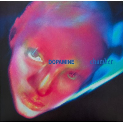 FONTAINES D.C. - Dopamine Chamber - LP